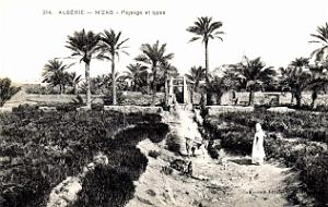 M'Zab - Paysage